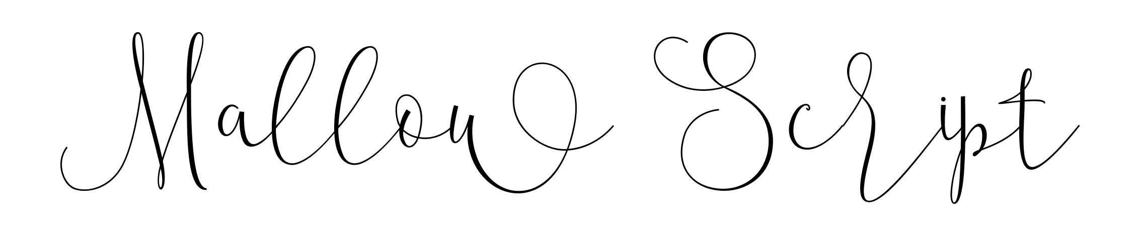 Mallow Script