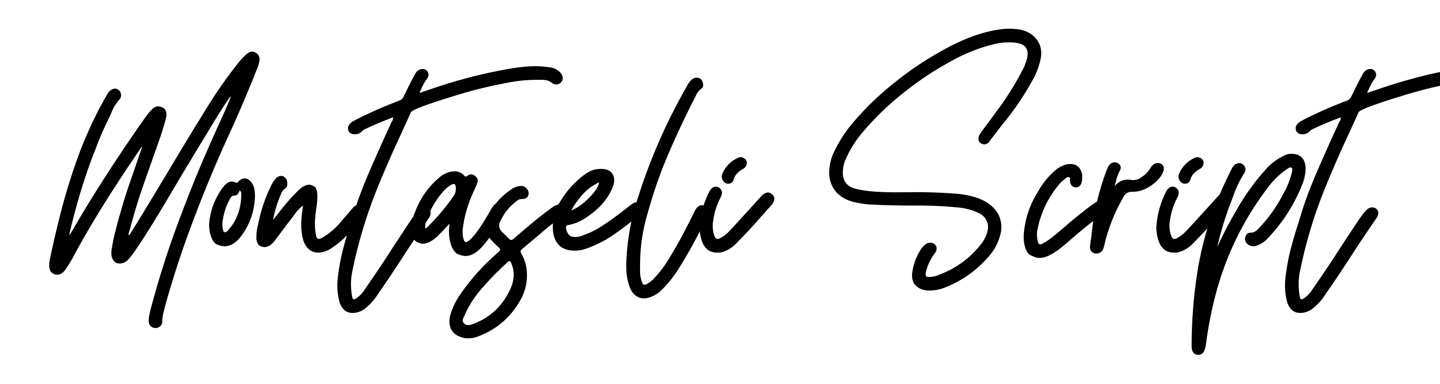 Montaseli Script
