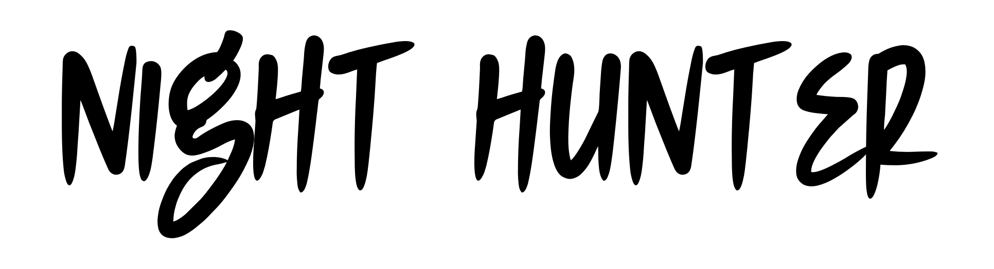 Night Hunter
