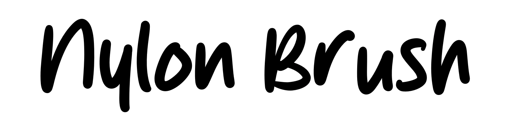 Nylon Brush