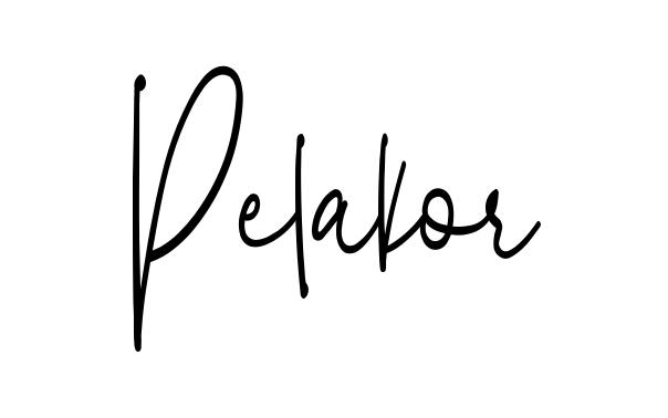 Pelakor