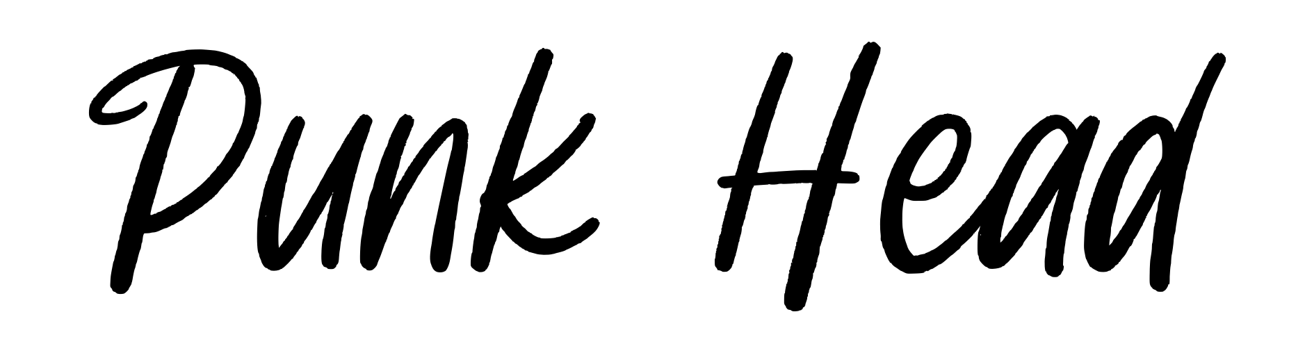 Punk Head