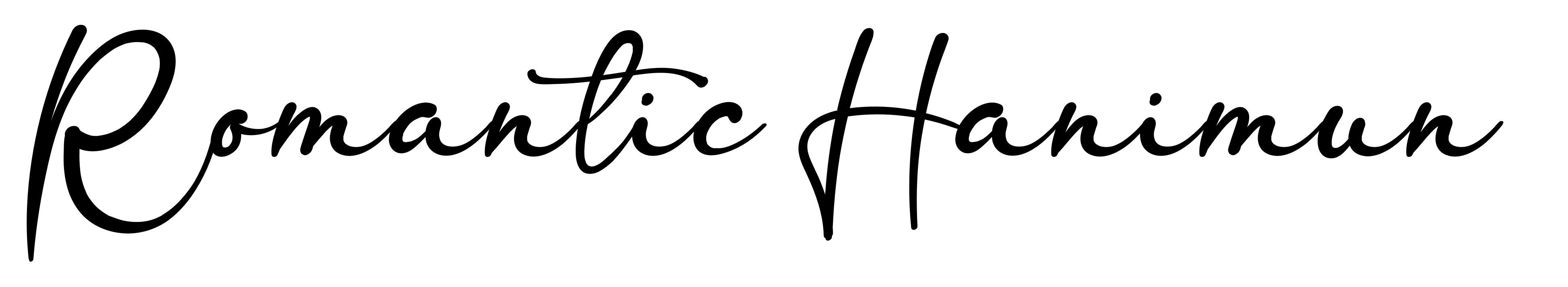 Romantic Hanimun