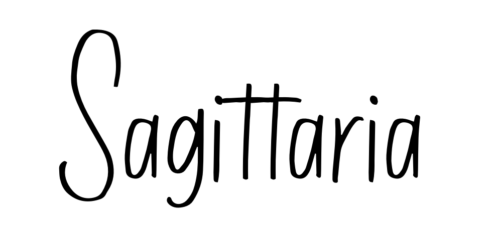 Sagittaria