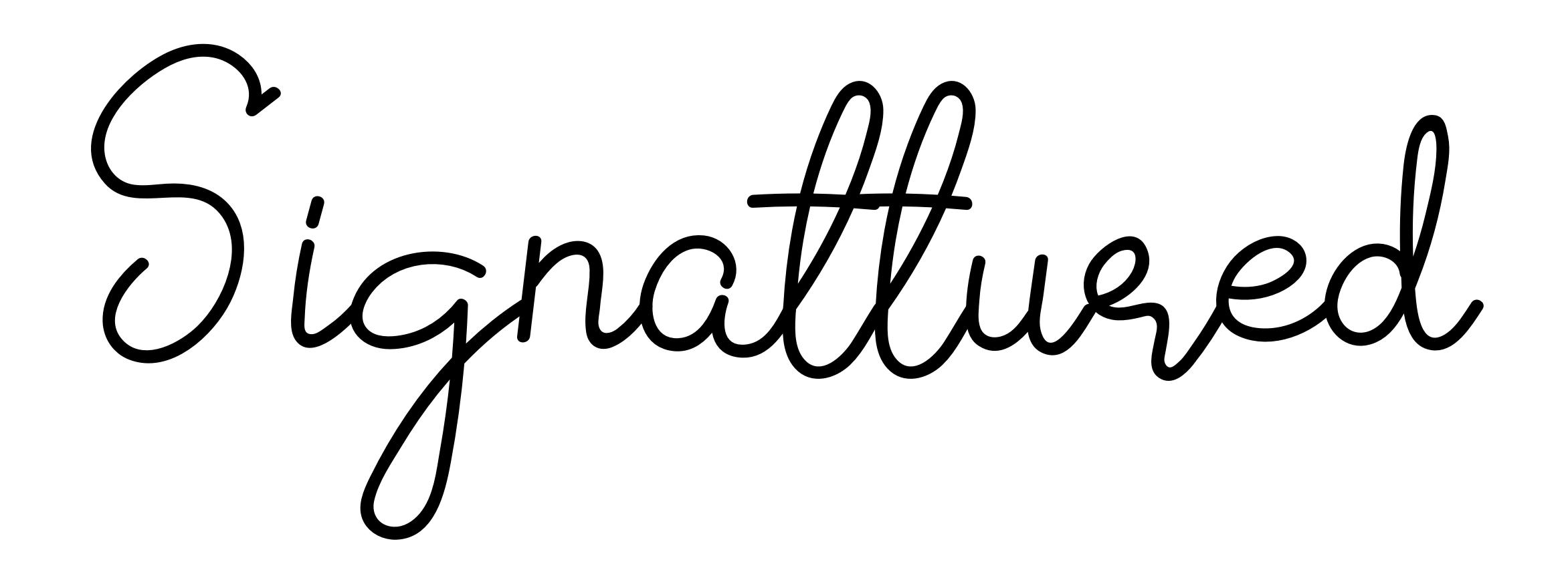 Signattured