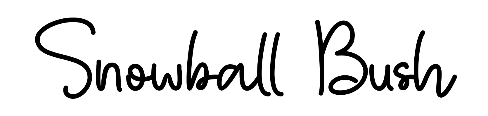 Snowball Bush
