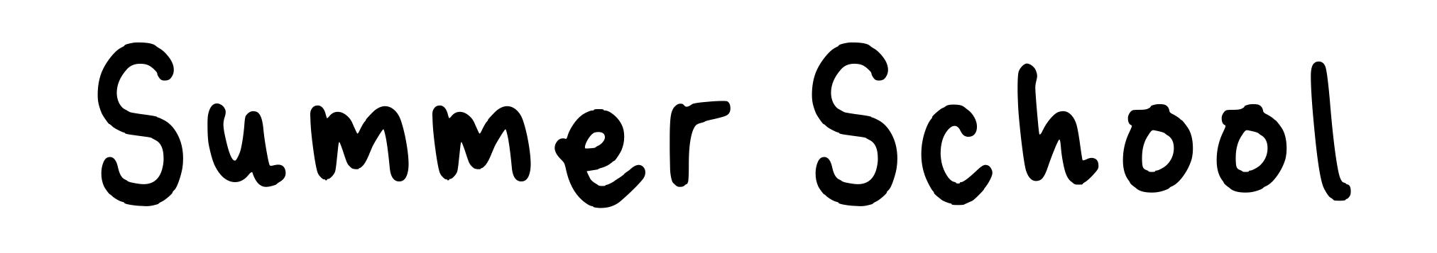Summer School