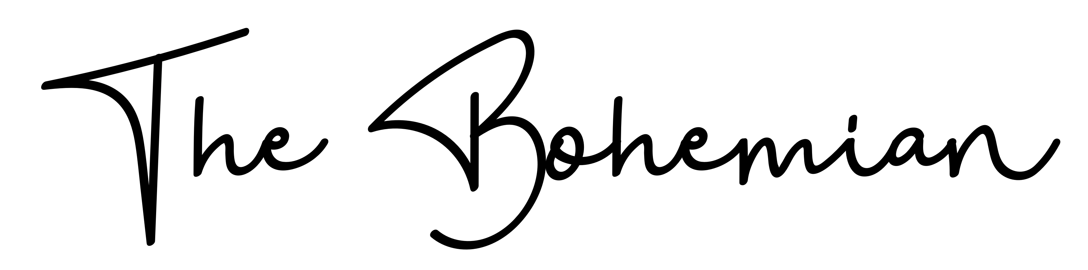 The Bohemian