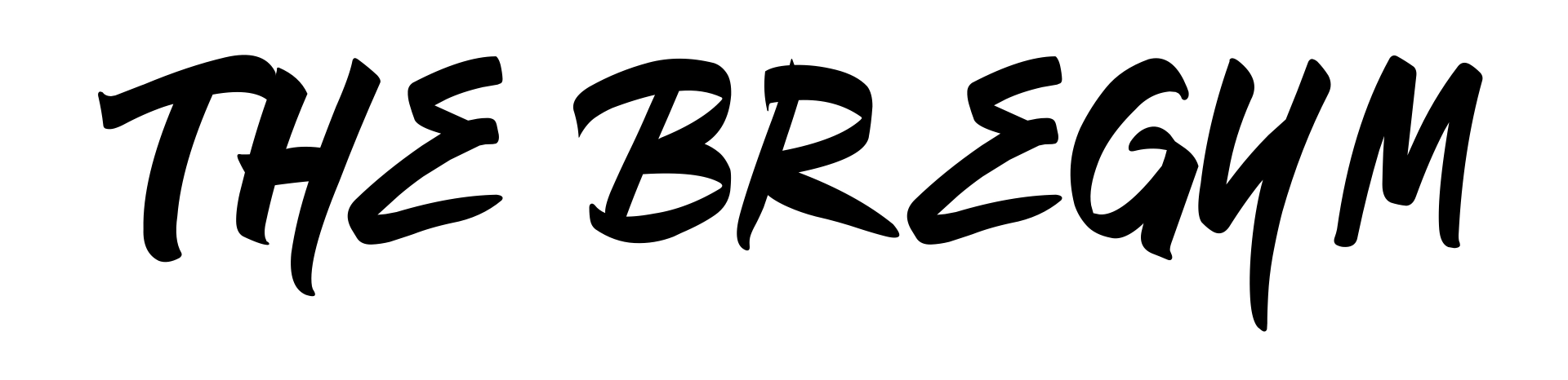 The Bregym