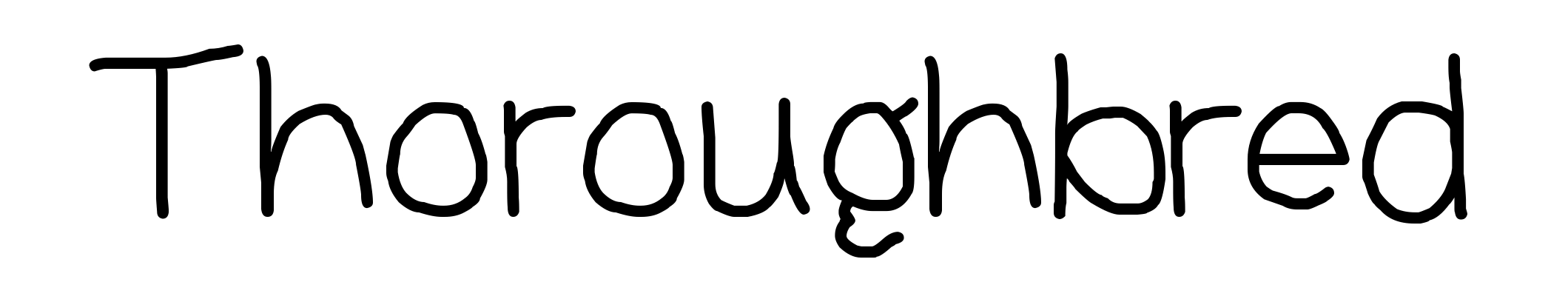Thoroughbred