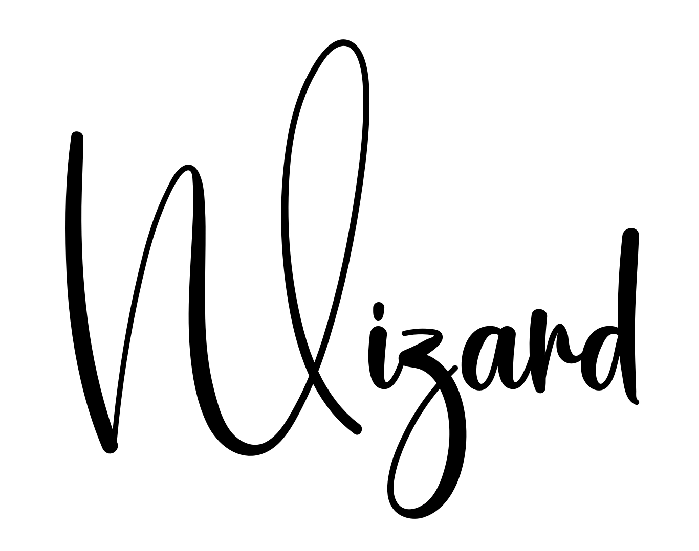 Wizard