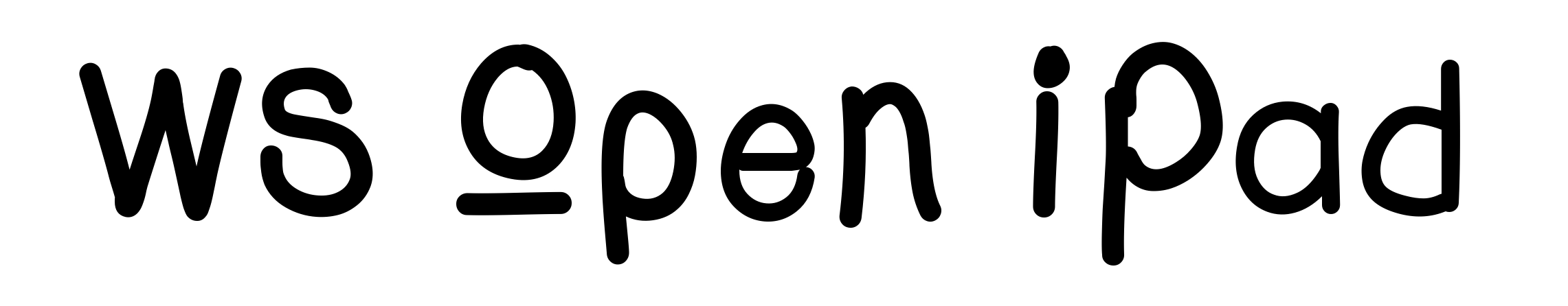 WS Open iPad