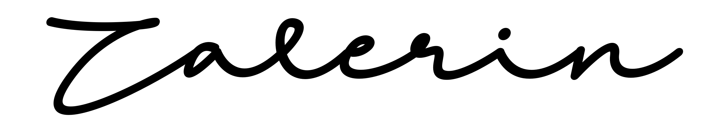 Zalerin