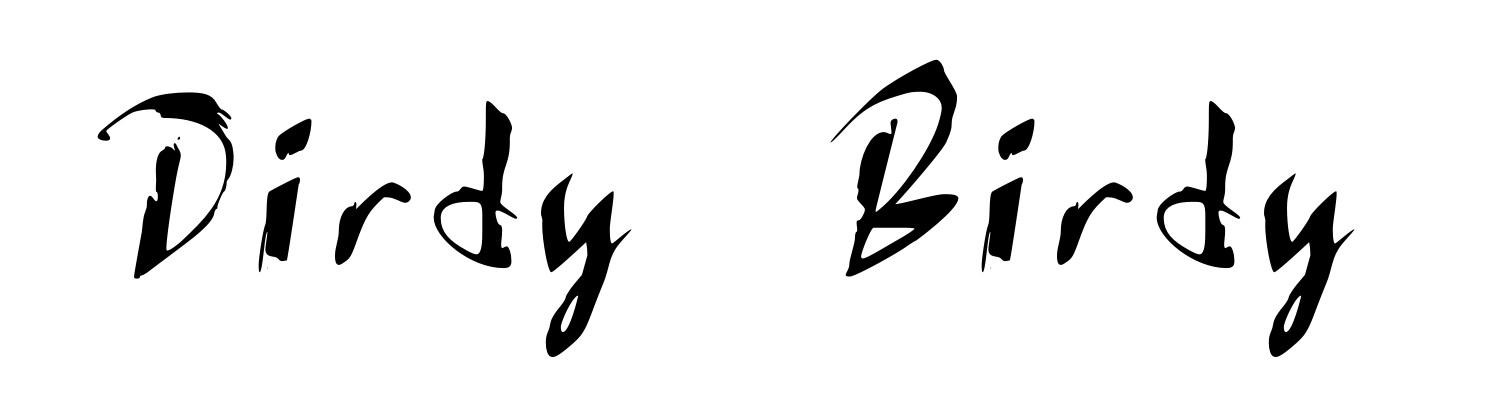 Dirdy Birdy
