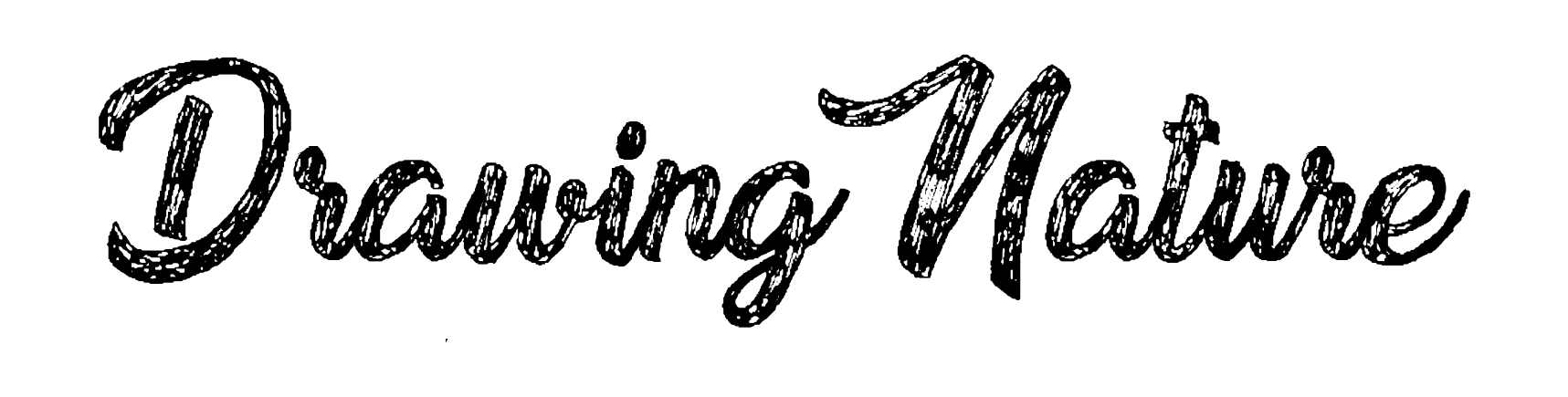 Drawing Nature