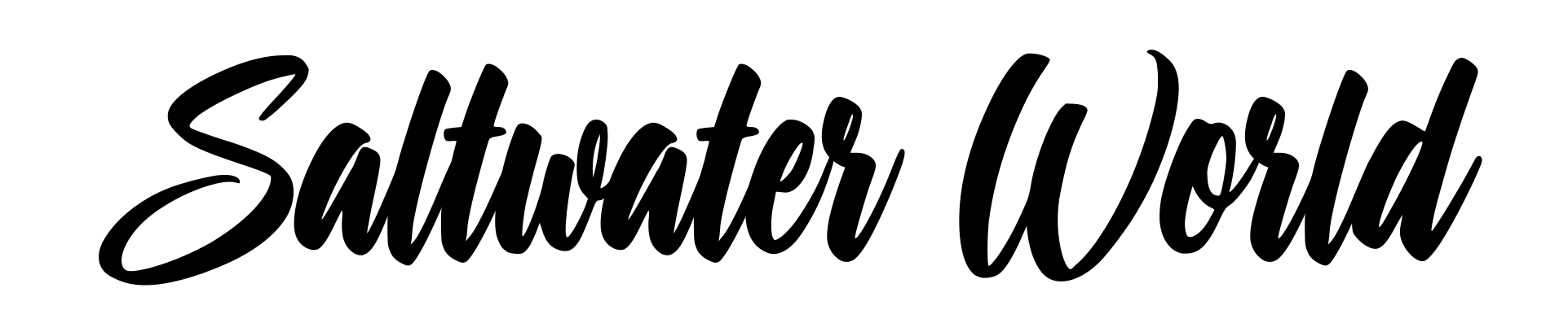 Saltwater World