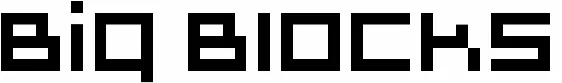 Big Blocks