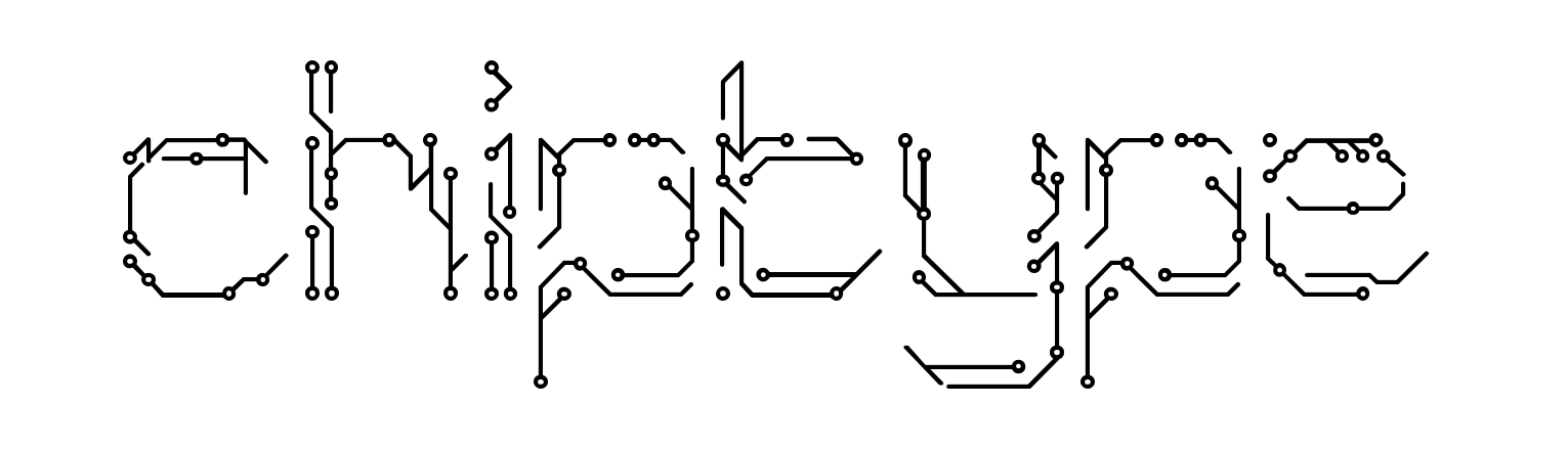Chiptype