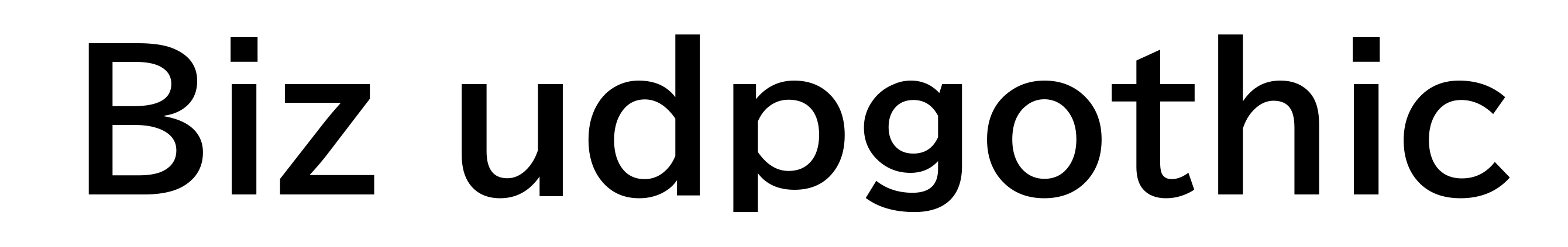 Biz udpgothic