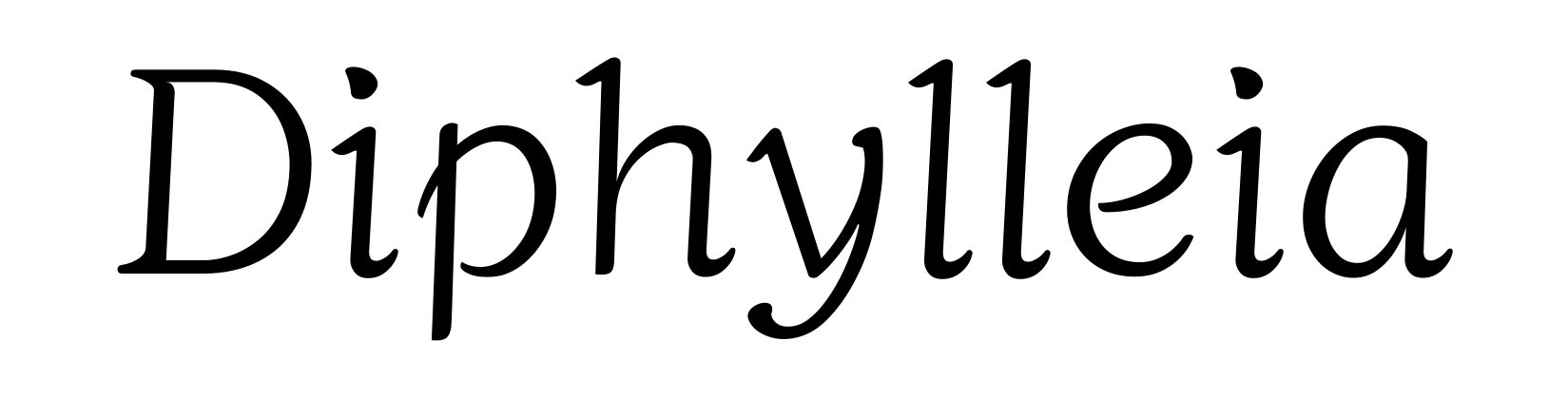 Diphylleia