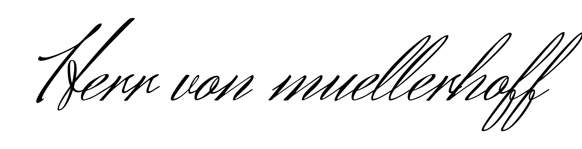 Herr von muellerhoff